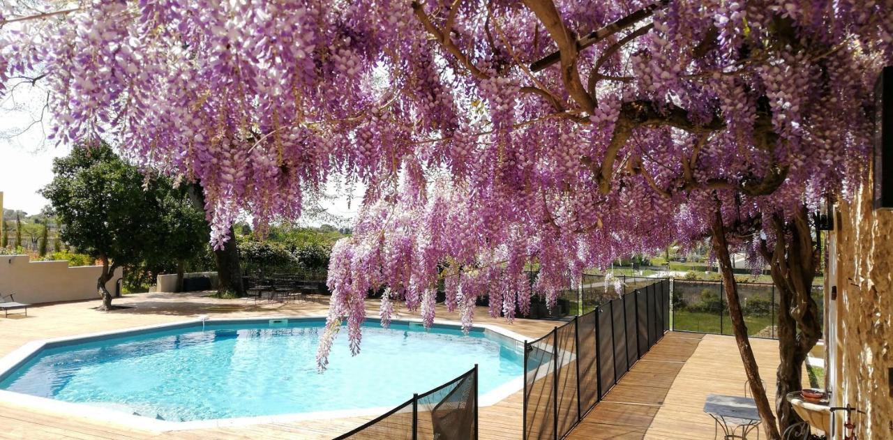 Chateau Montplaisir Charming B&B In Provence Valréas Exterior foto